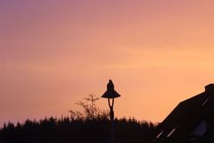Sommerabend mit nur lokalen Überraschungen