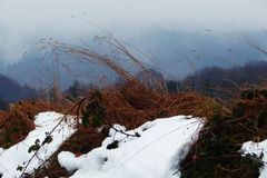 Auch am Sonntag Neuschnee?