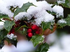 Winter hat uns fest im Griff!