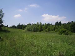 Oft gutes Ausflugswetter