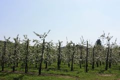 Angie&szlig;en und Einschl&auml;mmen