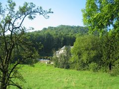 Juckreiz und rote Stellen