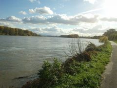 Akupunktur, Ayurveda und Eigenbluttherapie