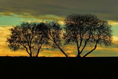 'Ein jedes Ding ist an sich vollkommen...'