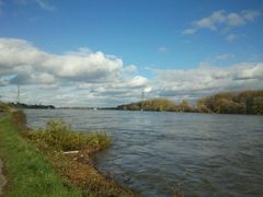 Nicht nur Baum sondern Kulturgut