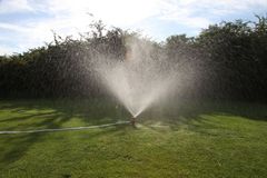 Auf in einen neuen Gartenmonat!