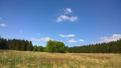 Wetter Ostseebad Boltenhagen 30TageVorhersage Donnerwetter.de