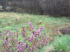 Wetter Herzberg (Elster) 30TageVorhersage Donnerwetter.de