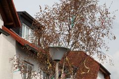 Wetter Ostseebad Boltenhagen 30 Tage Wettervorhersage Donnerwetter.de