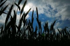 56+ Wetter Glauchau 30 Tage, Sie können das wetter von heute, das