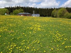 Wetter Kisdorf, Holstein 30TageVorhersage Donnerwetter.de