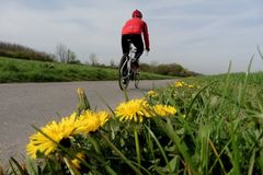 Die Landkarte auf den Beinen