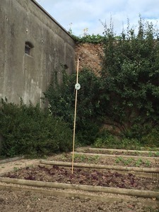 Endstation Obstbaum