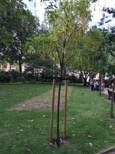 Es ist nicht alles Gold, was glänzt