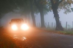 Dem Licht entgegen