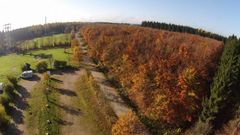 Aus grün wird gelb, rot, braun.