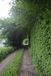 'Eine Hecke macht keinen Zaun'