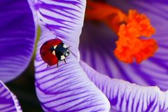 Obdach f&uuml;r N&uuml;tzlinge