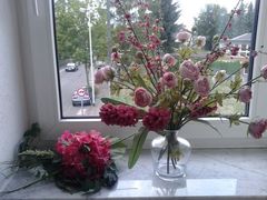 Zimmerpflanzen - Pflege im Herbst und Winter