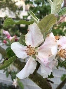 Wetter Neumünster Aktuell Wetter Neumünster Aktuell