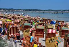 Krankheitsrisiken im August