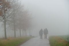 Wenig Licht, hohe Luftfeuchte