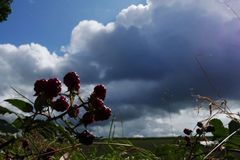 Wetter Hennef (Sieg) - 30-Tage-Vorhersage - Donnerwetter.de