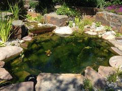 Zeit f&uuml;r Ziergr&auml;ser