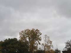 De leipzig tage wetter 14