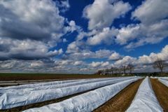 Mehr Wolken als zuletzt?