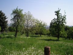 Meist geht es über die 25-Grad-Marke