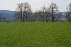 Wetter Ludwigsfelde 30TageVorhersage Donnerwetter.de