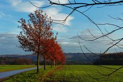 Strenger Frost m&ouml;glich?