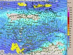 Friesennerz von Vorteil