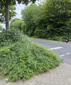 Gr&uuml;ne H&ouml;lle im Stra&szlig;enverkehr