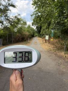 Warum „K&uuml;hle-Orte-Karten“ im Kampf gegen Hitze versagen