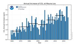 El Niño treibt CO₂-Konzentration auf neuen Rekordwert