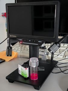 Mikroplastik im Regenwasser