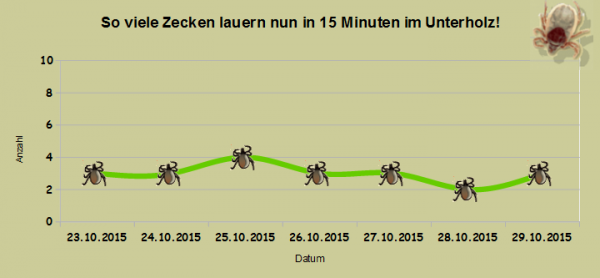 Kaum Wird Es Warmer Donnerwetter De